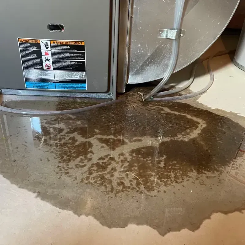 Appliance Leak Cleanup in Ucon, ID