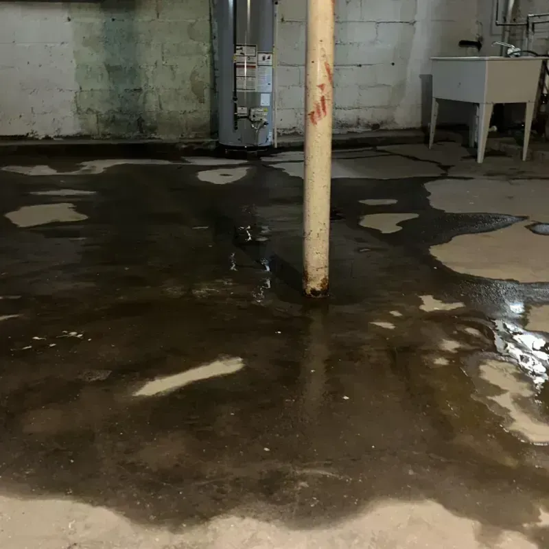 Emergency Water Extraction And Removal in Ucon, ID